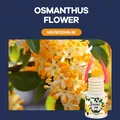 Diffuseur de parfum suspendu FORMBO pour voiture avec parfum de fleurs d'osmanthus 8ml - Parfum d'Osmanthus (FBCZ046-25)