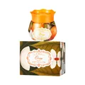 Natural orange aromatherapy balm air freshener with floral patterned packaging box - 100.00g / Orange Scent