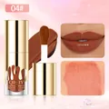 QICIY Glasting Water Tint lip gloss in shade 04 warm reddish brown for moisturized lips - Water Tint / 04 Reddish Brown