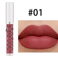 QICIY Matte Lip Gloss Shade #01 - Long-lasting Dusty Rose Velvet Liquid Lipstick - Single Pack / #01