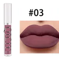 QICIY matte lip gloss #03 long-lasting waterproof liquid lipstick in dark plum shade - Single Pack / #03