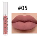 Professional QICIY matte liquid lipstick and lip gloss makeup swatch in shade #05 - #05