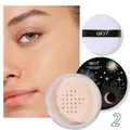 QICIY Fixierpuder mit Perlmutt-Finish und weicher weißer Puderquaste Variante Nummer zwei - 15.00g / Nuance 02 (Matt Natur)