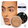 QICIY Professionelles Schimmer-Fixierpuder #4 für ein glattes mattes Finish mit Puderquaste - 15.00g / Nuance 04 (Natürlicher Schimmer)