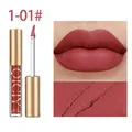 Long-lasting QICIY matte lip gloss in shade 1-01 with smooth non-stick cup texture - Rose Pink (01#)