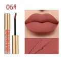 QICIY Matte Liquid Lipstick Shade 06, long-lasting smudge-proof velvet lip gloss - Dried Rose (06#)