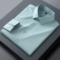 Premium men's non-iron mulberry silk long sleeve business dress shirt in bean green - 38 / Tops / Bean Green (SCS196-2)