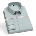Professional men's sage green slim fit non-iron stretch long sleeve dress shirt - Light Green