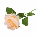 Elegant champagne velvet artificial rose flower with stem for wedding home decor - Flower head diameter 7cm / Little Paris Champagne No. 2