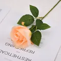Realistic champagne velvet artificial rose flower with green leaves for home wedding decor - Flower head diameter 7cm / Snow Mountain Rose (Champagne)
