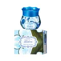 Close-up view of blueberry scented air freshener with elegant floral packaging box - 100.00g / Blueberry