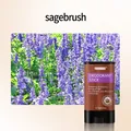 Long-lasting sagebrush scented deodorant stick for refreshing and fragrant skin (15g) - Clary Sage / 15.00g