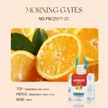 Premium 8ml hanging car air freshener with refreshing fruit scent notes for long-lasting aroma - Morning Gates (FB017) / 8ml