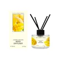 100 ml Reed-Diffusor-Set mit Mangoduft, schwarzen Stäbchen und eleganter Verpackung - 100ml / Mango