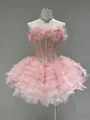 Elegante vestido de tutú tipo corsé de encaje rosa con plumas y falda de tul multicapa - S / Vestidos / Rosa