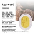 Handmade oval gypsum scented wax tablet with rich oud wood fragrance for wardrobe - Oud Wood