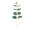 Detailed macro view of artificial eucalyptus leaf stem with realistic green leaf texture - Grass Green