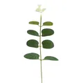 Single artificial silver dollar eucalyptus stem with realistic green leaves for decor. - Cream