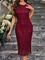 Elegant wine red water-soluble lace bodycon pencil dress for women - S / Dresses / Burgundy