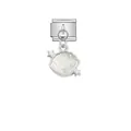 Close-up of a silver stainless steel shell charm for Italian modular charm bracelets - Shell Double Star Iridescent (D526) / Silver