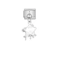 Detailed view of a stainless steel star charm pendant for DIY modular bracelets. - Mother of Pearl Star (D521) / Silver