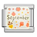 Stainless steel modular charm link with September theme for personalized DIY bracelet - September Charm Module