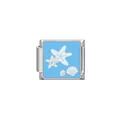 Abalorio modular italiano de acero inoxidable con motivos de estrella de mar y concha - Concha de Estrella de Mar (HY13)