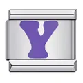 Customizable stainless steel Italian charm featuring a purple letter Y for DIY jewelry - Letter Y (Y142)
