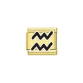 Close-up of gold Italian modular charm link featuring a black Aquarius zodiac symbol design. - Aquarius (Y2073) / Gold