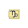 Macro detail of a gold-plated stainless steel Italian charm link with Capricorn symbol - Capricorn (Y2084) / Gold