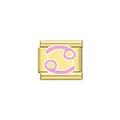 Dettaglio di un modulo charm italiano da 9 mm dorato con il segno zodiacale Cancro rosa - Cancro (Y2102)