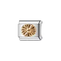 Detailed view of a silver stainless steel Italian charm link with gold floral daisy motif - Daisy Module (Y900) / Silver with Gold Daisy