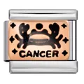 Nahaufnahme eines Edelstahl-Glieds mit Sternzeichen Krebs für italienische Armbänder. - Krebs Stil (ICJ187) / 5 Stück / Roségold