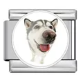 Makroansicht eines Edelstahl-Modul-Charms mit einem süßen Husky-Hunde-Aufdruck - Husky (ICP-JRAA0006-1)