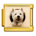 Détail macro d'un maillon de bracelet italien doré avec motif de chien Westie - Westie - Or / 1 Pièce