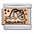 Wassermann Sternzeichen Italienischer Modul Armband Link aus Edelstahl Roségold - Wassermann Stil (ICJ185) / 5 Stück / Roségold