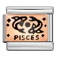 Italienischer Armband-Link mit Fische Sternzeichen aus Edelstahl und Roségold - Fische Stil (ICJ184) / 5 Stück / Roségold