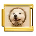 Maillon de bracelet italien personnalisé avec motif de chiot blanc mignon doré - Samoyed - Or / 1 Pièce