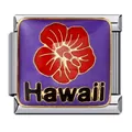 Maillon de bracelet italien en acier titane avec émail violet et fleur d'Hawaï - Style Hibiscus d'Hawaï (ICJ293) / 1 Pièce/Paquet