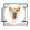 Italienisches Armband-Modul aus Edelstahl mit süßem Shiba Inu Hundemotiv - Shiba Inu (ICP-JRAA0008-1)