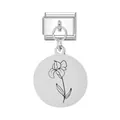 Charm modulare italiano in acciaio inox con ciondolo a forma di fiore di iris - Modulo Ciondolo Tondo Febbraio / Argento