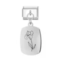 Italienischer Charms-Anhänger aus Edelstahl mit eingravierter Schwertlilie Blume - Februar Ovaler Anhänger Modul / Silber