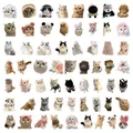 Collection of various cute cat stickers with funny hats and costumes for scrapbooking - Realistic Cat-60Pcs