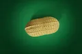 Realistic TPR flour-filled peanut squishy toy for effective stress relief and soft rebound - Small Realistic Peanut Squishy / Light Brown