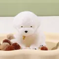 White fluffy puppy squishy stress relief toy with golden collar tag on a beige tray - Teddy Puppy (White)