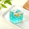Vista detallada del juguete antiestrés de cubo oceánico con conchas y estrellas reales - Envase tipo bolsa / Verde Hierba