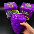 Giant purple grape squishy toy, TPR slow rebound stress reliever with packaging box - Color Box / Purple