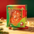 Close-up of a Santa Claus slow-rebound squishy toy in its festive green and red retail box. - Orange Santa Claus Squishy Toy (Boxed)