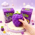 Grote paarse druifvormige squishy knijpspeeltje voor stressverlichting met doos - Paarse Druif / 1 Stuk / Paars