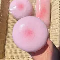 Pink cherry blossom slow-rebound squishy toy made of soft PU material - Pink Round Rice Cake